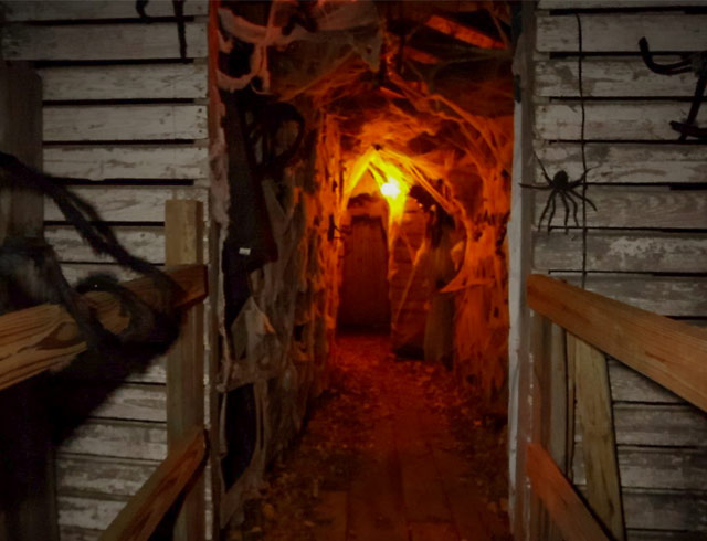 Haunted Hollow Woods & Trail in Staples, Minnesota